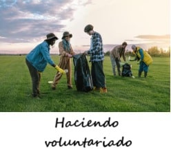 Voluntariado
