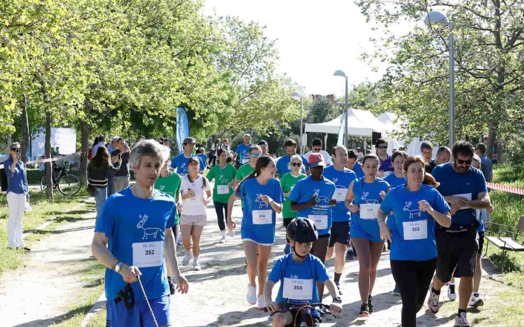 Redes sociales V Carrera Popular Gente Corriente