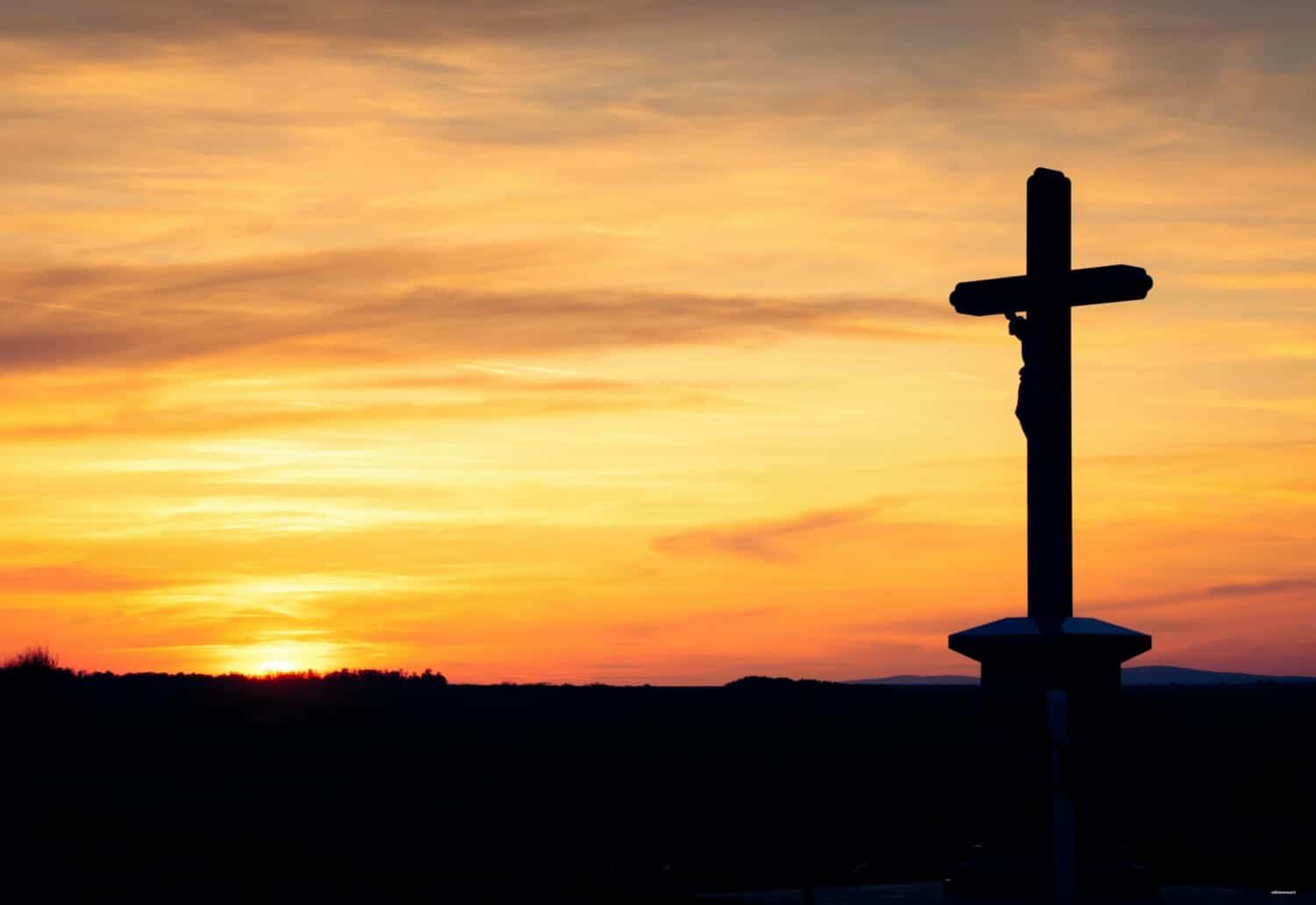 pexels-nikiemmert-14166157