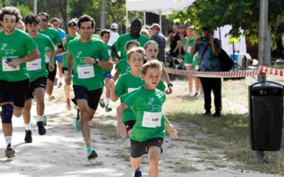 Categorías y Distancias